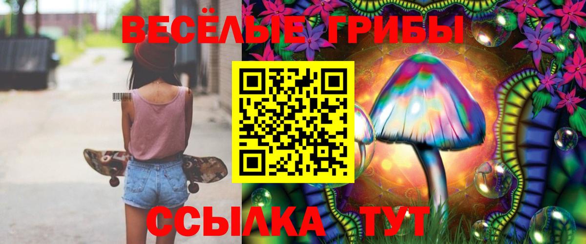 Псилоцибиновые грибы Psilocybine cubensis  Галлюциногенные грибы Cubensis  Владикавказ  купить наркоту  Вход с VPN 